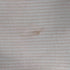 ザラ ZARA リブ Tシャツ トップステッチ メンズ S-M