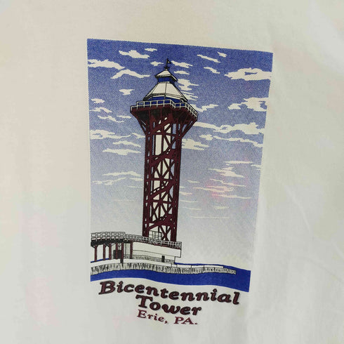 フルーツオブザルーム FRUIT OF THE LOOM 90s プリントS/S TEE シングルステッチ メンズ XL