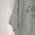テネシーリバー TENNESSEE RIVER USA製 CHICAGOプリントTシャツ メンズ JPN:XXL