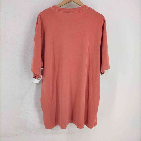 カーハートワークインプログレス Carhartt WIP S/S NELSON T-SHIRT メンズ JPN:L