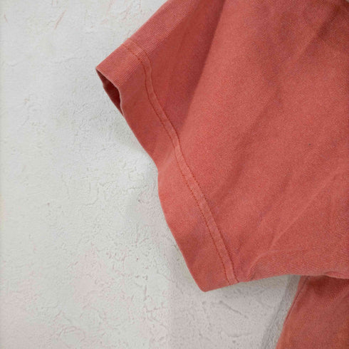 カーハートワークインプログレス Carhartt WIP S/S NELSON T-SHIRT メンズ JPN:L