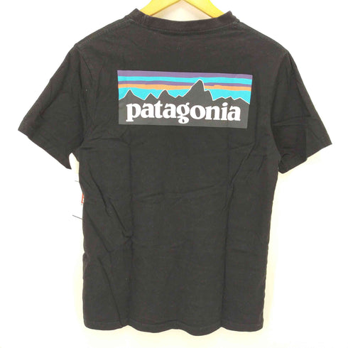 パタゴニア patagonia バックプリント モックネックTシャツ メンズ import:M