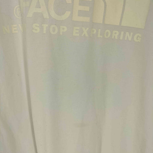 ザノースフェイス THE NORTH FACE S/S COLOR DOME TEE ロゴプリント Tシャツ メンズ JPN:L