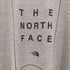ザノースフェイス THE NORTH FACE S/S BOX TNF TEE フォーリーフクローバー メンズ import:L
