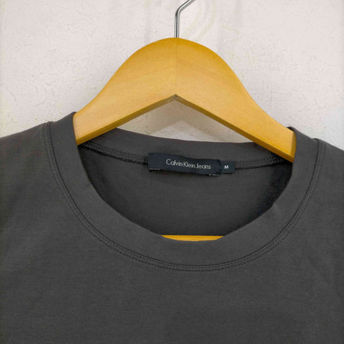 カルバンクラインジーンズ Calvin Klein Jeans フロントラメロゴ ストレッチTシャツ ピチT Y2K レディース import:M