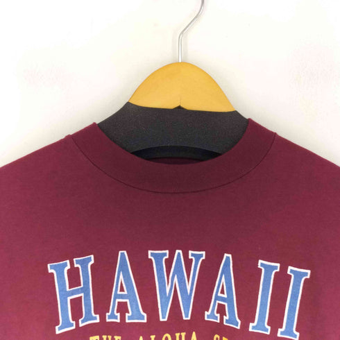 ジャージーズ JERZEES 90s USA製 HAWAII プリントクルーネックTシャツ メンズ JPN:M