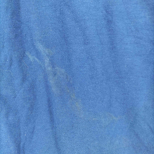 ヘインズ Hanes 90s BSA アニマルプリントクルーネックTシャツ メンズ JPN:M