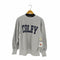 チャンピオン Champion 90s メキシコ製 刺繍タグ REVERSE WEAVE ラバープリント カレッジ メンズ import:L