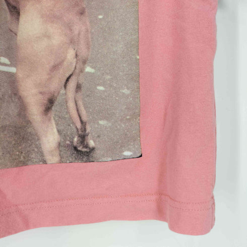 ザラ ZARA ×ROCKY フォトプリント クルーネックTシャツ レディース import:S