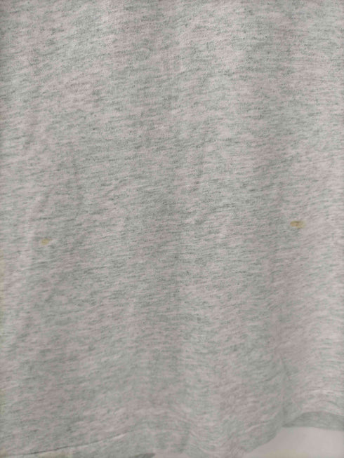 フルーツオブザルーム FRUIT OF THE LOOM 90S USA製 両面プリント クルーネック Tシャツ シングルステッチ メンズ import:XL