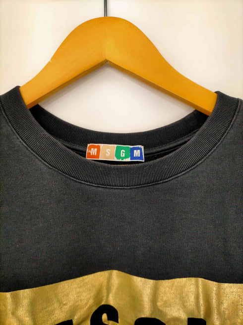 エムエスジーエム MSGM ロゴプリント クルーネック スウェット メンズ import:XS