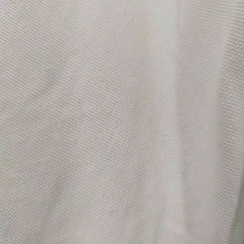 ポロラルフローレン POLO RALPH LAUREN custom fit エンブレム刺繍鹿の子ポロシャツ メンズ M