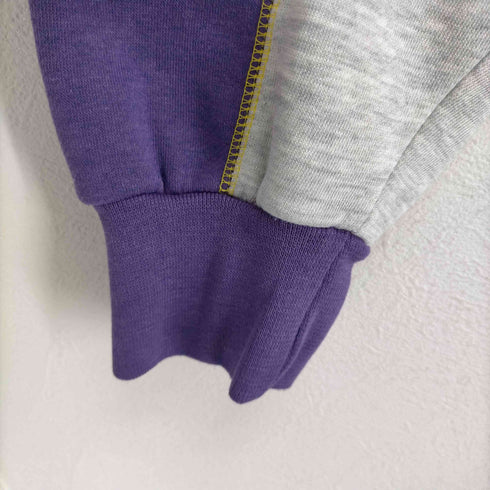 スターター STARTER チームロゴ刺繍プルオーバーパーカー メンズ JPN:L