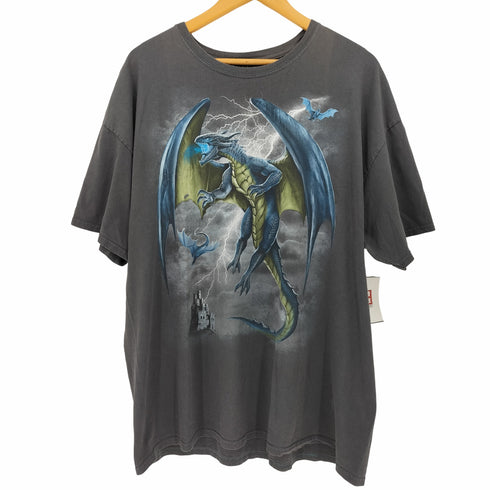 dom Dragon Lightning Castle Graphic Art Gray T Shirt ドラゴン プリント クルーネック Tシャツ メンズ import:XXL