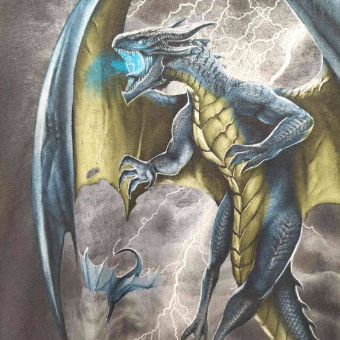 dom Dragon Lightning Castle Graphic Art Gray T Shirt ドラゴン プリント クルーネック Tシャツ メンズ import:XXL