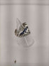 グラッドハンド GLAD HAND Family Crest Ring メンズ 13号