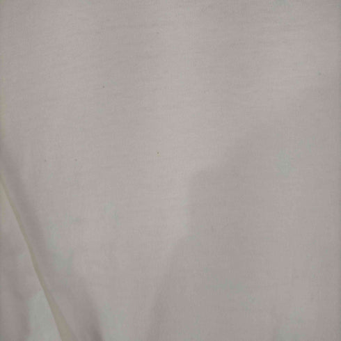 ヘインズ Hanes 90s MADE IN USA フロントフロッキープリントTシャツ DETROIT SYMPHONY メンズ import:XL
