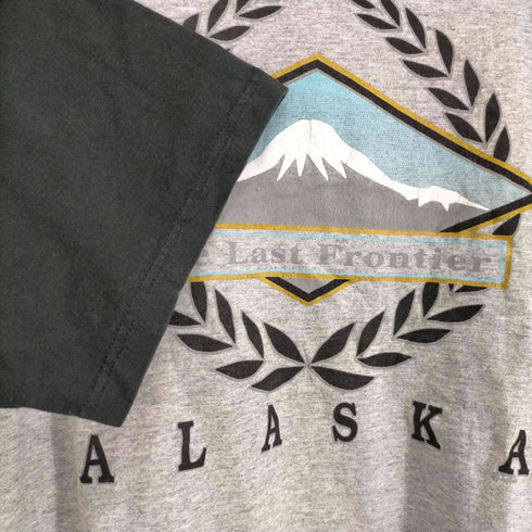 ジャージーズ JERZEES 90s MADE IN USA ALASKA フロントプリントS/S TEE メンズ JPN:L