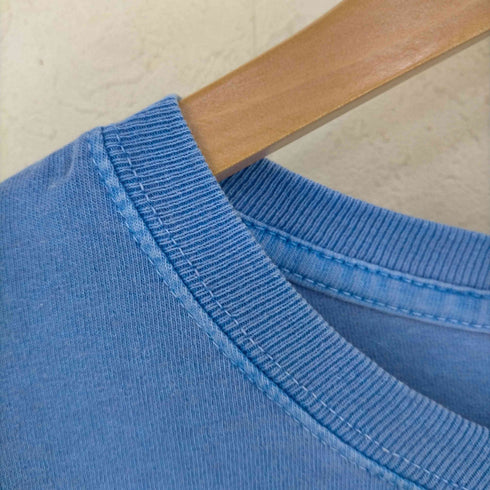 ステューシー Stussy JUMBO LS TEE PIGMENT DYED - Blue メンズ import:M
