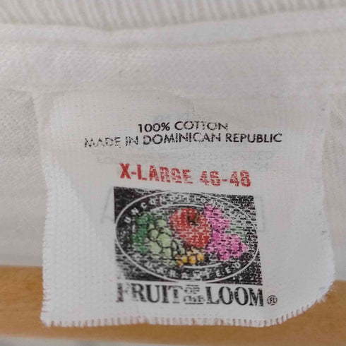 フルーツオブザルーム FRUIT OF THE LOOM フォトプリント クルーネックTシャツ メンズ import:XL