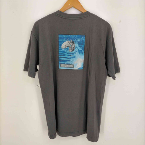 DREAMBOAT サーフ Tシャツ メンズ import:L