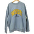 エヌビーエー NBA Team Lettering グラフィック ルーズフィット スウェットシャツ メンズ JPN:XL