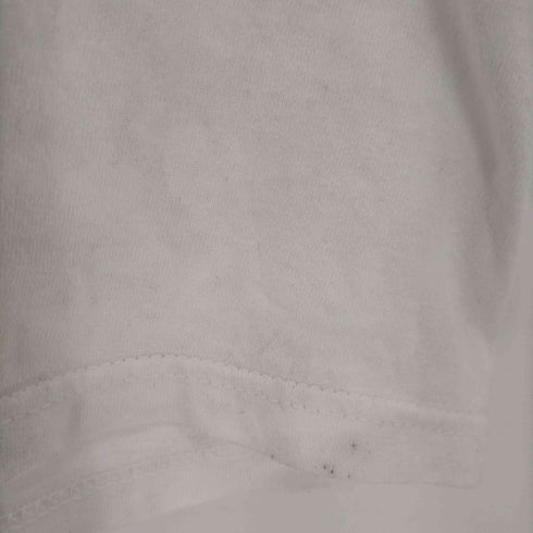 フルーツオブザルーム FRUIT OF THE LOOM ©1998 Kacchi アートTシャツ メンズ import:L