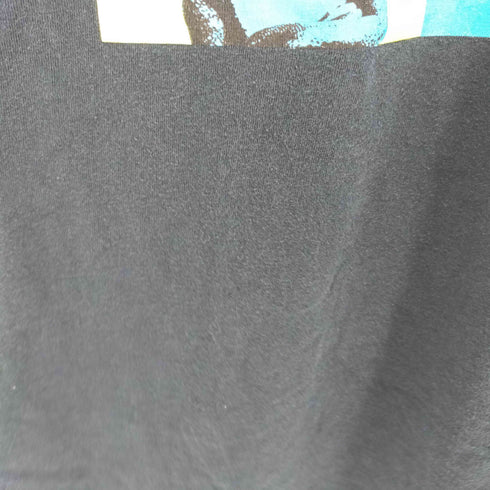 ギルダン GILDAN 00S アートプリント S/S TEE GEICO トカゲ 企業 メンズ import:XL