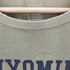 ザノースフェイス THE NORTH FACE プリントクルーネックショートスリーブTシャツ メンズ import:XL