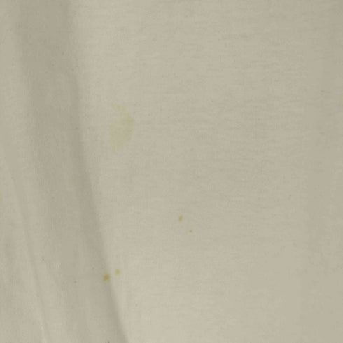 ヘインズ Hanes ©1993 USA製 シングルステッチ フロントキャラクタープリント クルーネックTシャツ メンズ import:XL