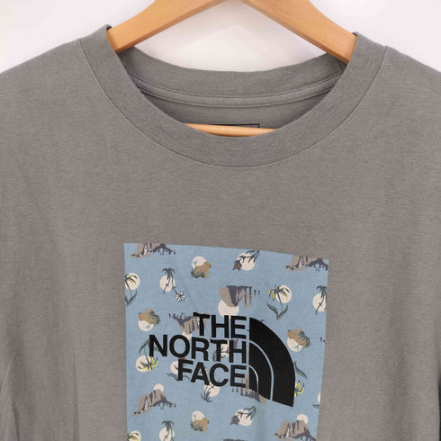 ザノースフェイス THE NORTH FACE S/S Boxed In Tee ショートスリーブボックスインTシャツ メンズ import:M