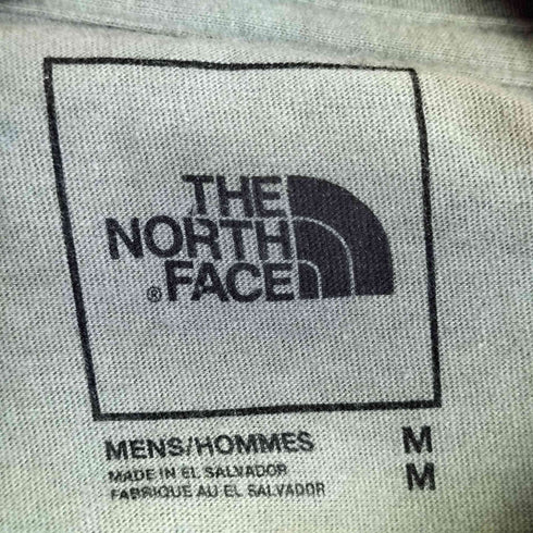 ザノースフェイス THE NORTH FACE S/S Boxed In Tee ショートスリーブボックスインTシャツ メンズ import:M