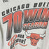 エヌビーエー NBA 90S 70WIN SEASON Tシャツ 霜降りグレー 両面プリント 裾袖シングル バスケ チーム メンズ