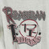 スクリーンスターズ SCREEN STARS 90S PEARDAN INDIANS Tシャツ 霜降りグレー USA製 メンズ JPN:XL
