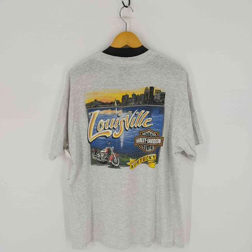 ハーレーダヴィットソン HARLEY DAVIDSON ©1995 HANES BEEFYボディ Tシャツ 両面プリント 大判バックプリント 霜降りグレー メンズ JPN:XL