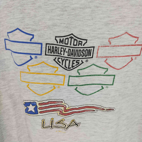 ハーレーダヴィットソン HARLEY DAVIDSON ©1995 HANES BEEFYボディ Tシャツ 両面プリント 大判バックプリント 霜降りグレー メンズ JPN:XL