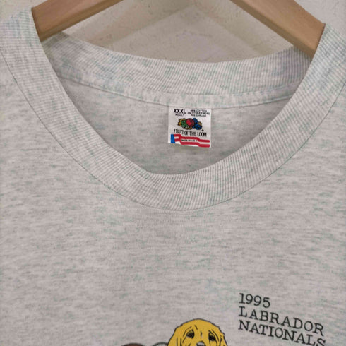 フルーツオブザルーム FRUIT OF THE LOOM USA製 シングルステッチ 犬 鴨プリント 霜降り S/S TEE メンズ XXXL