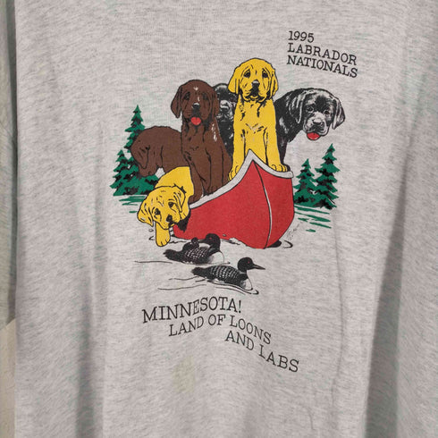 フルーツオブザルーム FRUIT OF THE LOOM USA製 シングルステッチ 犬 鴨プリント 霜降り S/S TEE メンズ XXXL