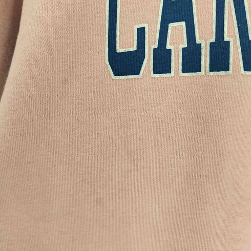 カーハートワークインプログレス Carhartt WIP Hooded Theory Sweat プルオーバーパーカー メンズ import:L