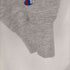 チャンピオン Champion 90S MADE IN USA 刺繍タグ VERGINIA 両面ラバープリント REVERSEWEAVE メンズ import:XL