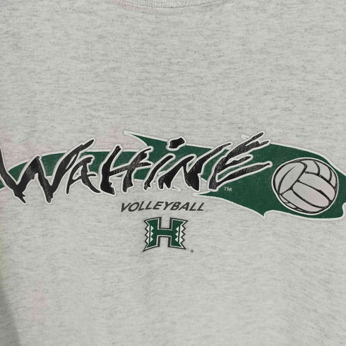 デルタプロウェイト DELTA PRO WEIGHT 00S チームロゴTシャツ バレーボール 霜降りグレー メンズ JPN:XL