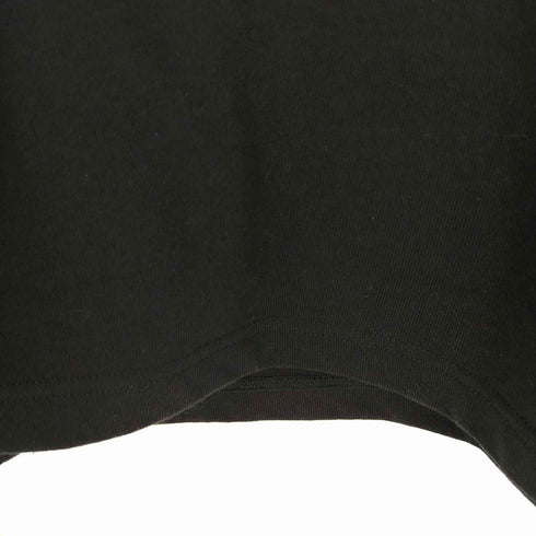 ザノースフェイス THE NORTH FACE ロングスリーブヌプシコットンティー メンズ import:L