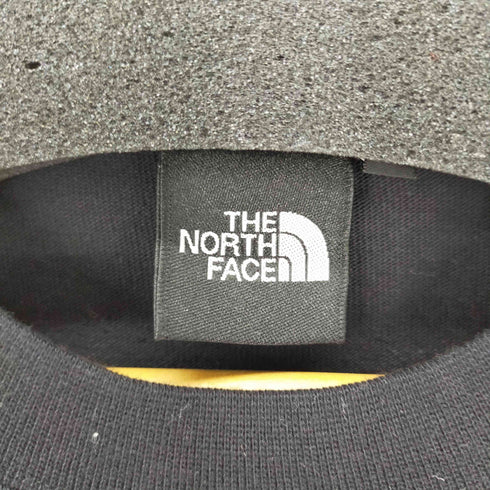ザノースフェイス THE NORTH FACE ロングスリーブヌプシコットンティー メンズ import:L
