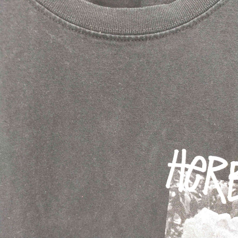 ステューシー Stussy HERBYS DYEDD T-SHIRT メンズ import:S