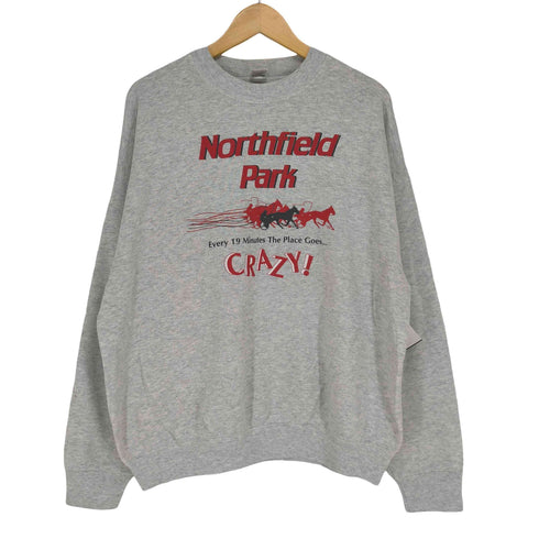 フルーツオブザルーム FRUIT OF THE LOOM 80~90S ツルタグ NORTHFIELD PARK プリントスウェット メンズ JPN:XL