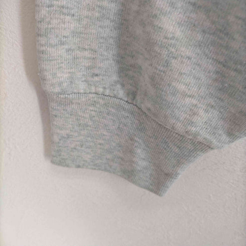 フルーツオブザルーム FRUIT OF THE LOOM 80~90S ツルタグ NORTHFIELD PARK プリントスウェット メンズ JPN:XL