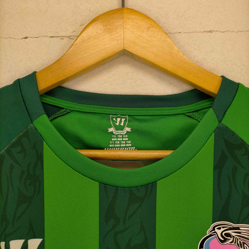 Japan Professional Football League メンズ JPN:L