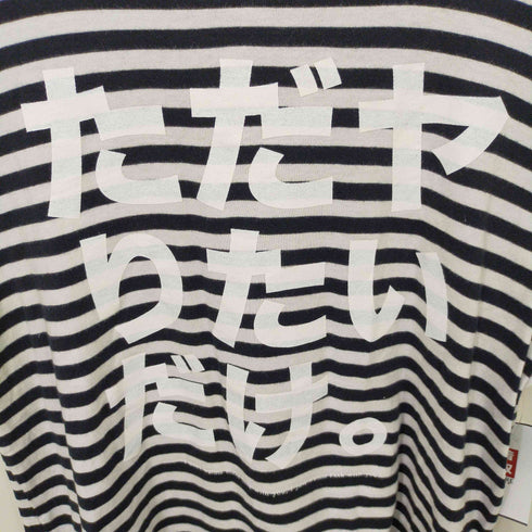 エフアールツー FR2 ボーダープリントTシャツ メンズ JPN:S