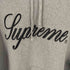 シュプリーム Supreme 23AW Week6 SUPREME RAISED SCRIPT HOODED SWEATSHIRT メンズ JPN:L