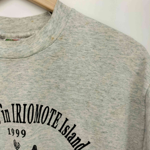 フルーツオブザルーム FRUIT OF THE LOOM 90S プリント S/S クルーネック Tシャツ メンズ JPN:L